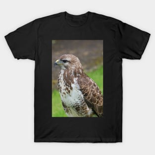 Buzzard T-Shirt